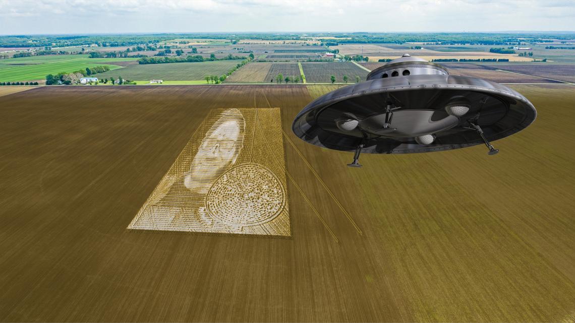 SALTY CRACKER Making Waves in the Fields of Wheat